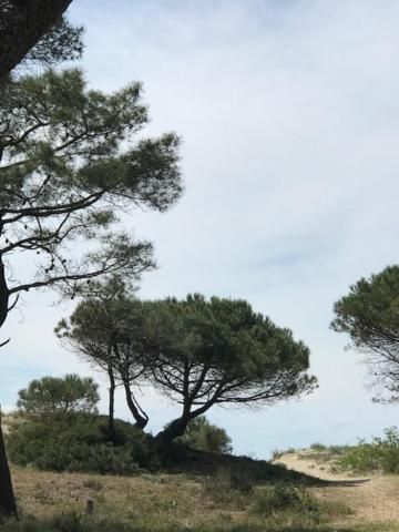 Oh! Campings - La Tamarissiere Agde Exterior photo